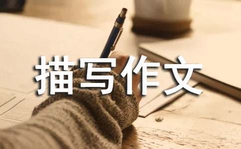如何制定智能篮球训练计划_2